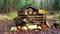 AnÂ insect hotel, also known as aÂ bug hotelÂ orÂ insect house,